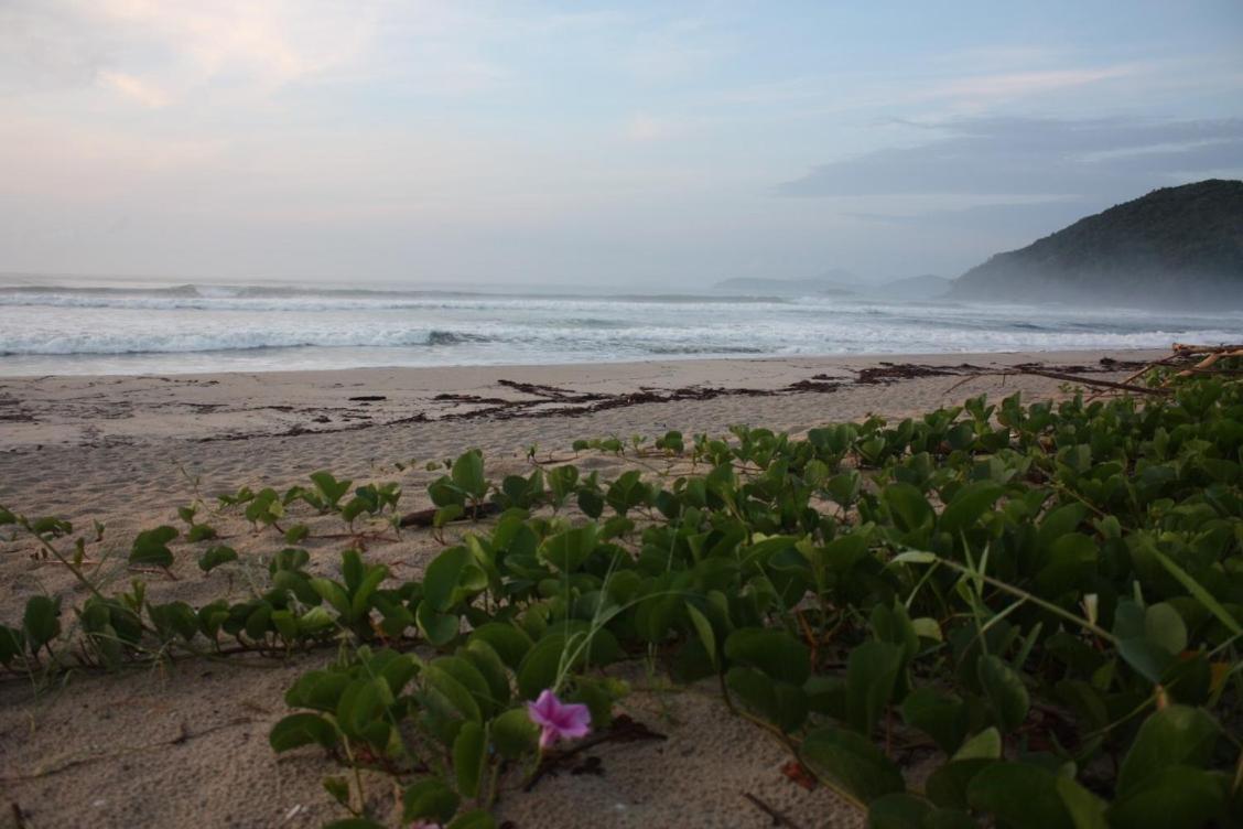 Maloquinha Itamambuca. A Mais Charmosa De Ubatuba. מראה חיצוני תמונה